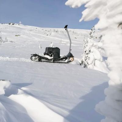 Прокат мотосноубордов в Москве